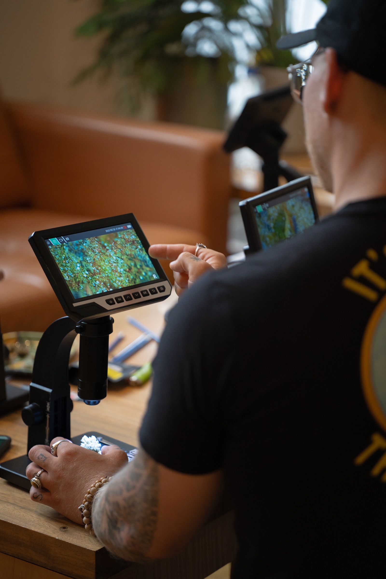 A trained grader reading trichome development under a digital microscope